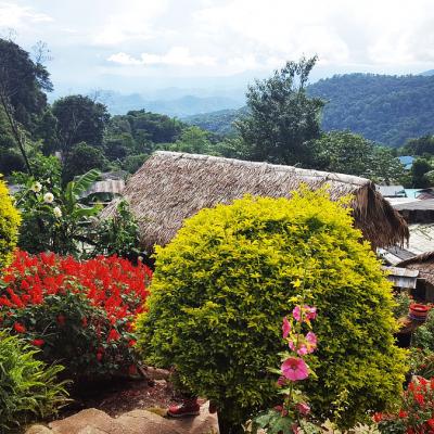 Visita di mezza giornata a Chiang Mai, Nord Thailandia