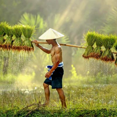 Viaggio di Nozze Laos e Thailandia