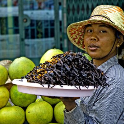 Cambogia food, insect food