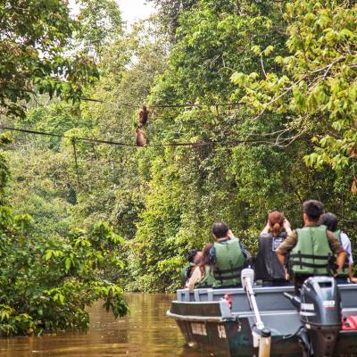 Tour 11 giorni 10 notti Singapore e Malesia