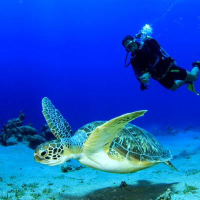 Isole Similan, Koh Tachai, Thailandia