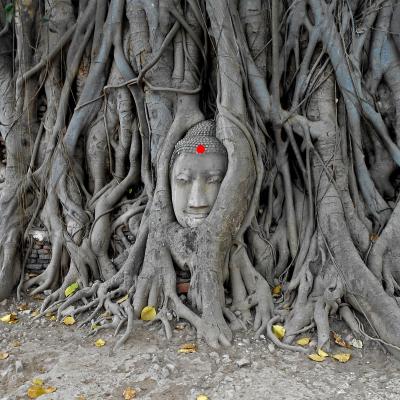 Tour giornaliero da Bangkok ad Ayutthaya