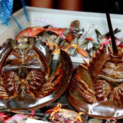 Crostacei Mercato sulla Ferrovia