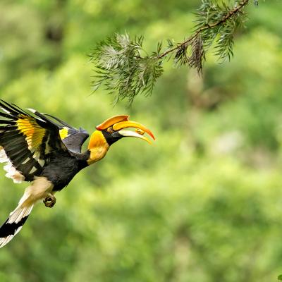 Viaggio di Nozze di Nozze in Laos