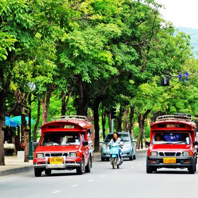 Escursione di mezza giornata: Chiang Mai