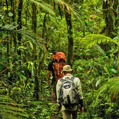 Tangkoko trekking, Sulawesi, Indonesia