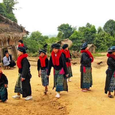 Tour del Laos del Nord