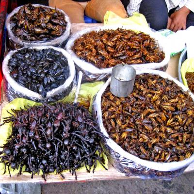 Insetti Street Food Insects Spider Cambogia