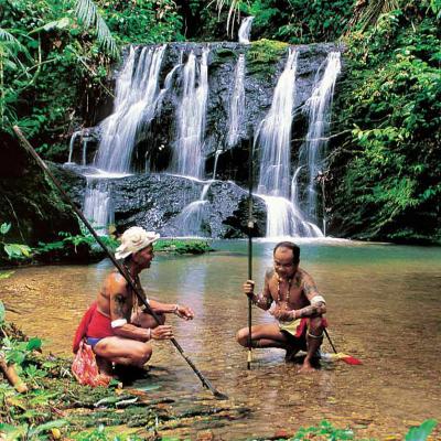 Tour del Borneo, Malesia: Koucin - Batang Ai - Bako