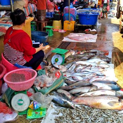 Chiang Khong Thailandia al confine col Laos