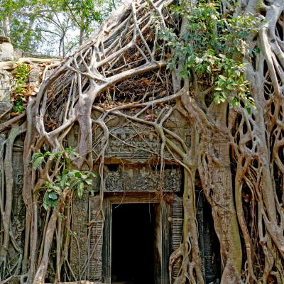 Angkor Thom valle dei Templi Siem Reap Cambogia