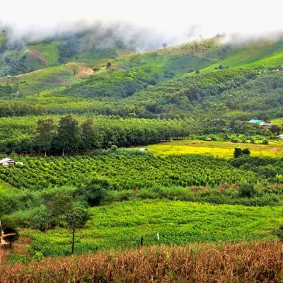 Chiang Khong Nord Thailandia