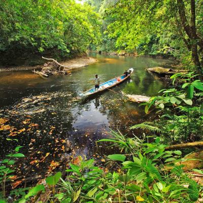 Parco Nazionale Batang Ai - Borneo - Malesia