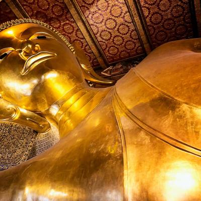 Yoga Meditazione Gruppo Thailandia Agosto 2026