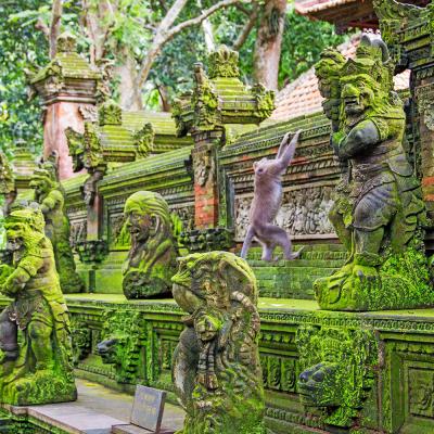 Offerta Viaggio di Nozze Indonesia Thailandia