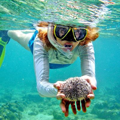 Snorkeling Ko Rong Sihanoukville Cambogia