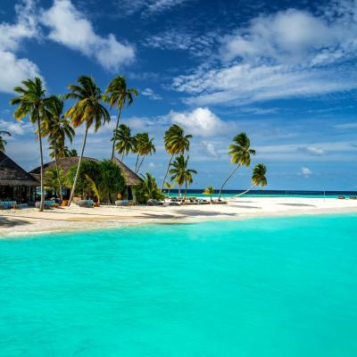 Maldive Beaches