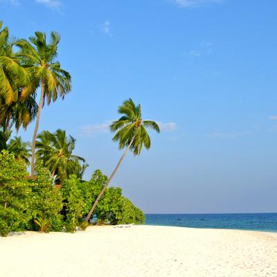 Biyadoo Island: spiaggia