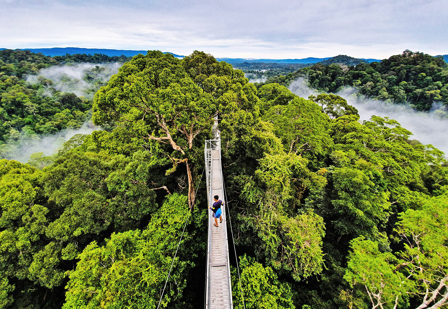 Brunei cosa visitare: Parco Nazionale Ulu Temburong