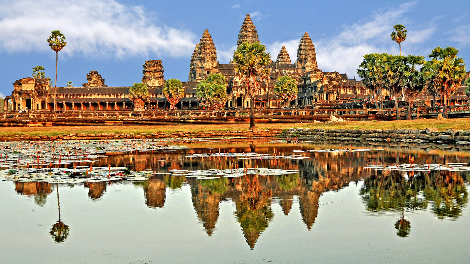 Angkor Wat Siem Reap Cambogia 275kmq di tepli antichi scoperti nel cuore della giungla