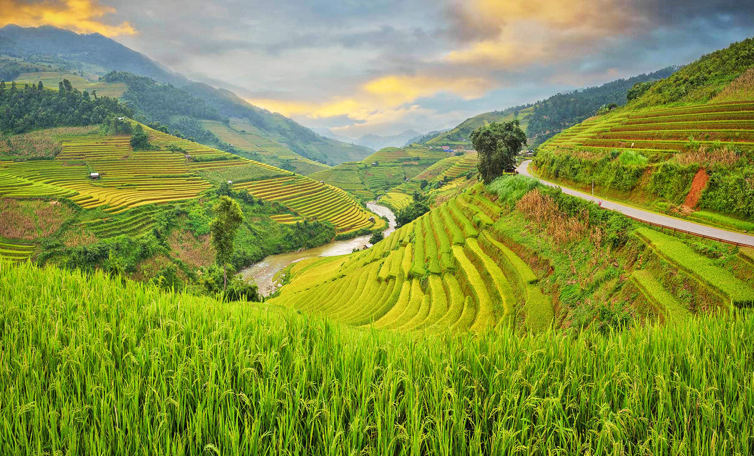 Filippine: coltivazioni di riso a Banaue, Bicol, isola di Luzon