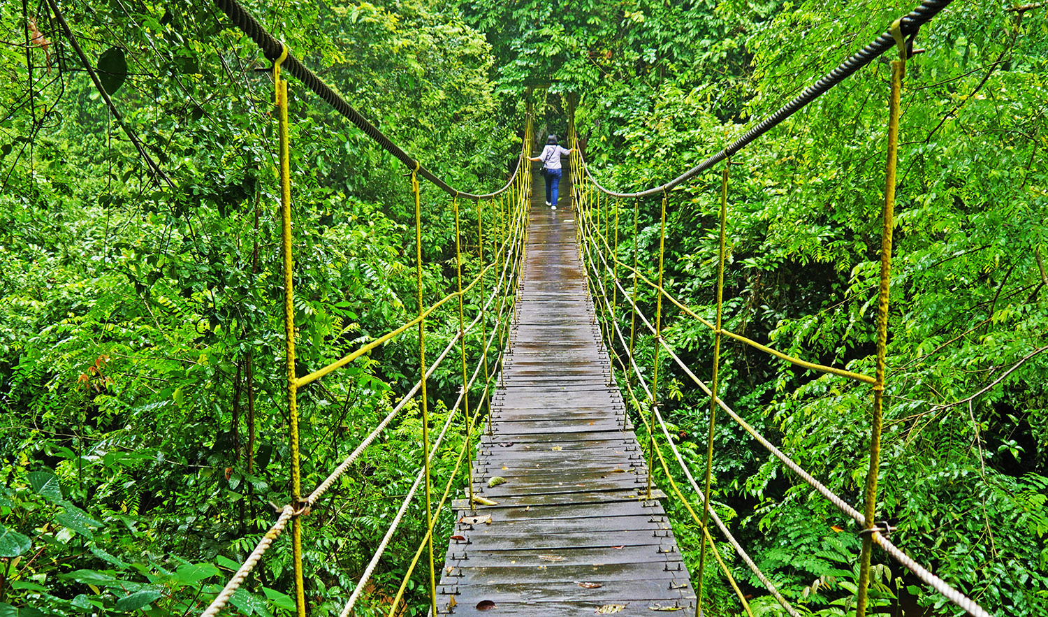 Parco Nazionale Kutai - Kalimantan - Borneo - Indonesia