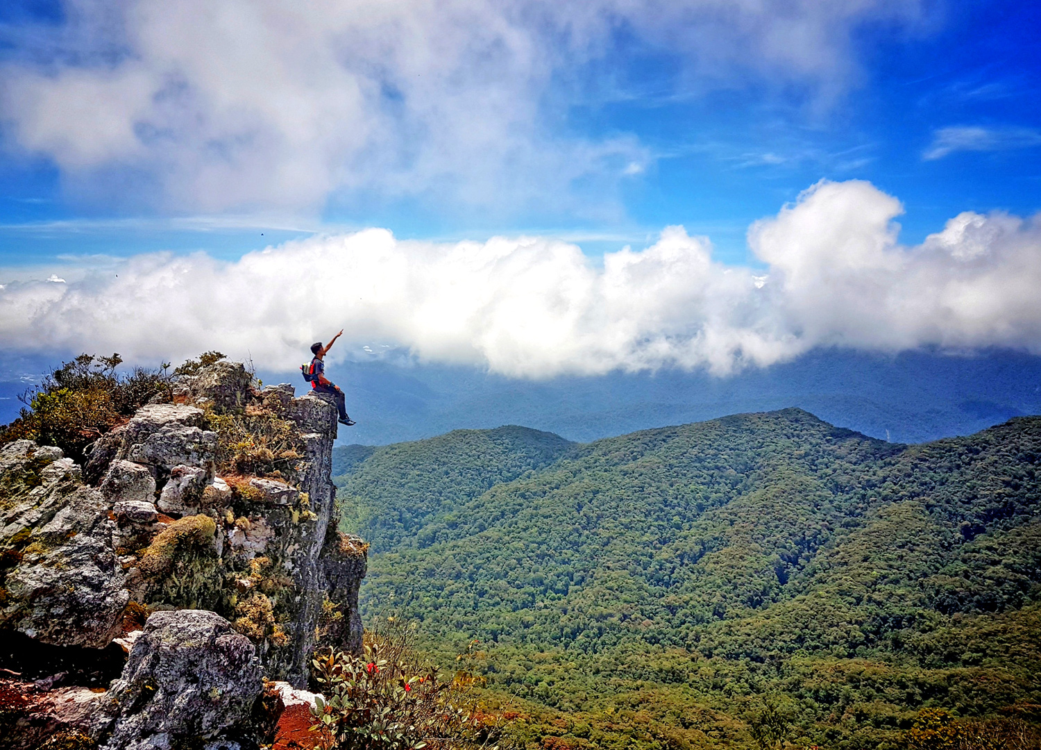 Tanjung Puting Parco Nazionale - Kalimantan - Borneo - Indonesia