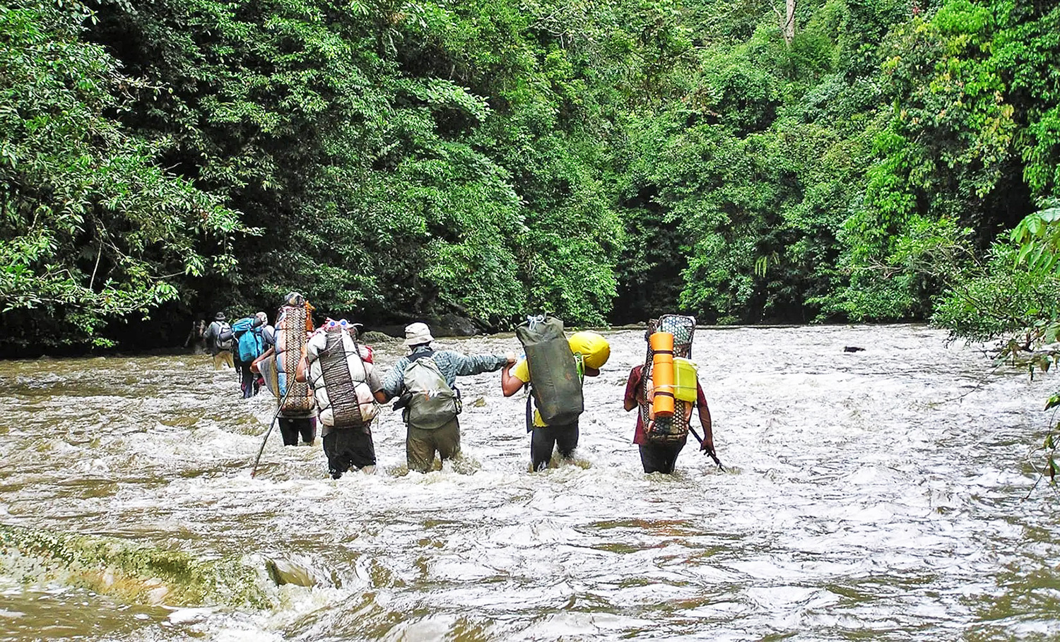 Parco Nazionale Betung Kerihun - Kalimantan - Borneo - Indonesia