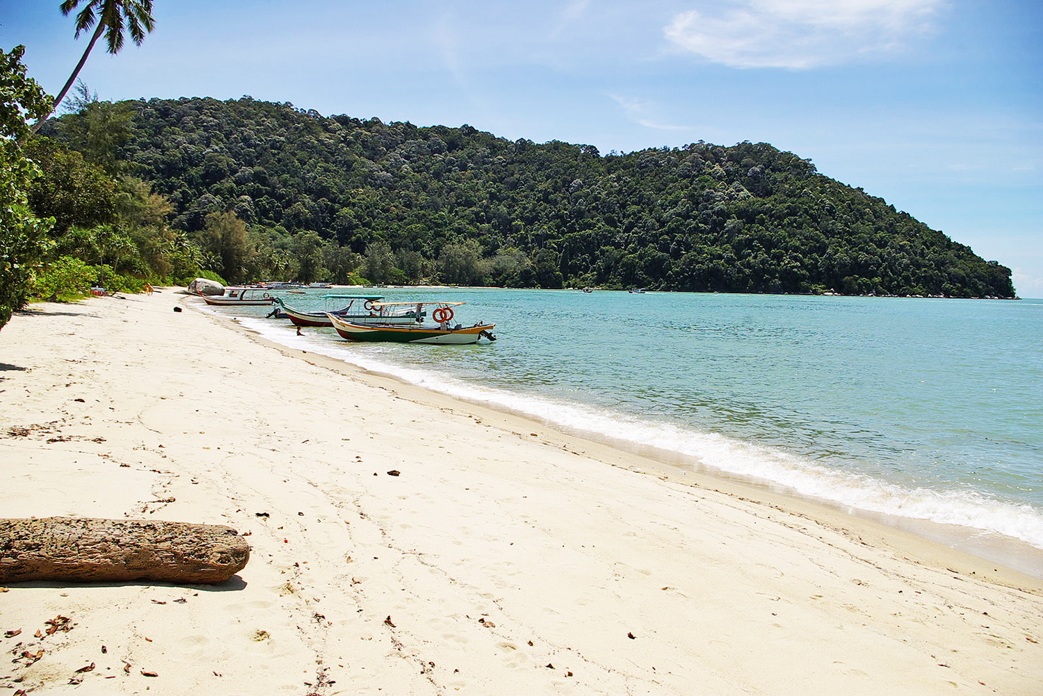 Monkey beach - Parco Nazionale di Penang - Malesia Occidentale