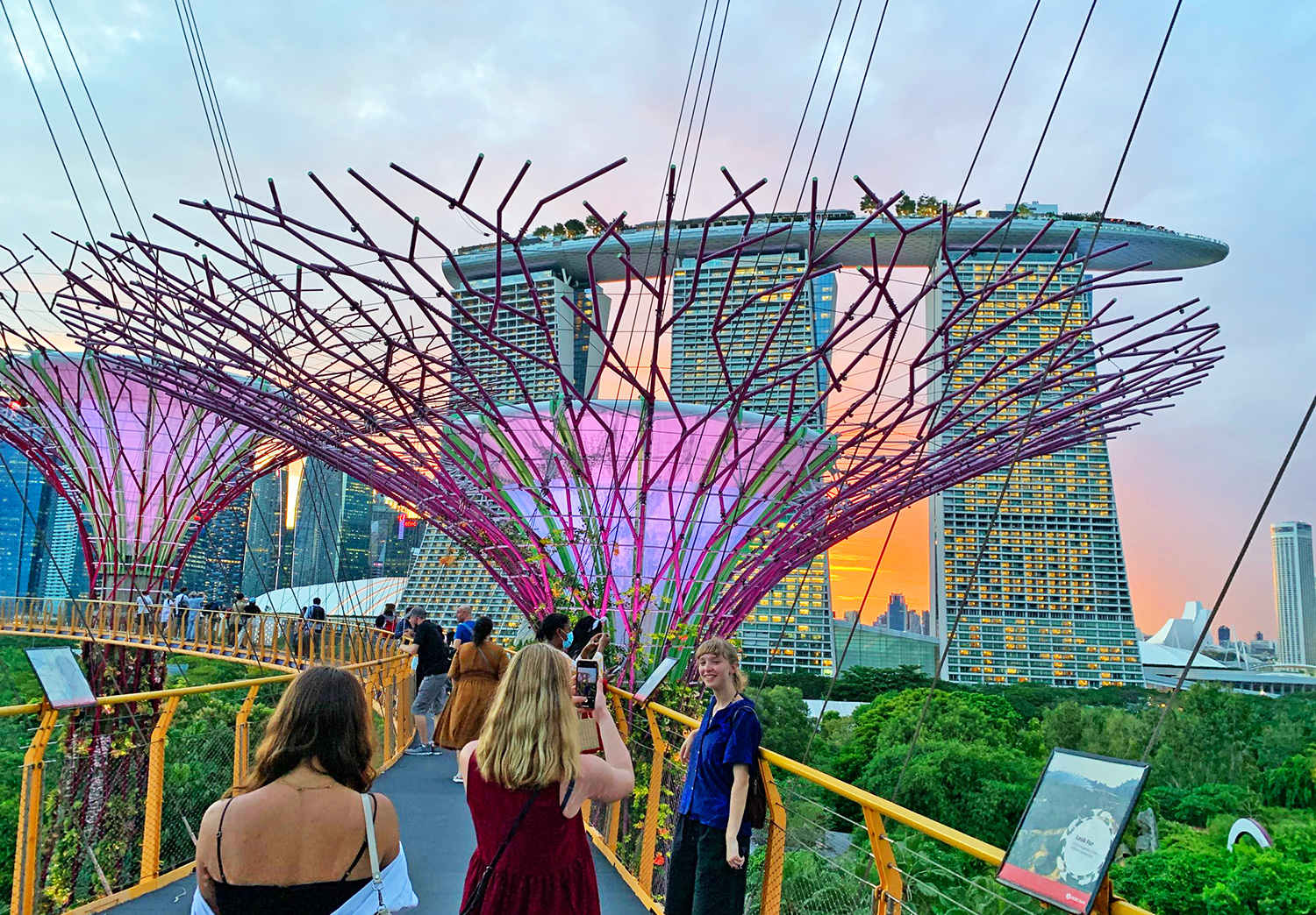 Città Stato di Singapore: Giardino Botanico Skyway Skywalk