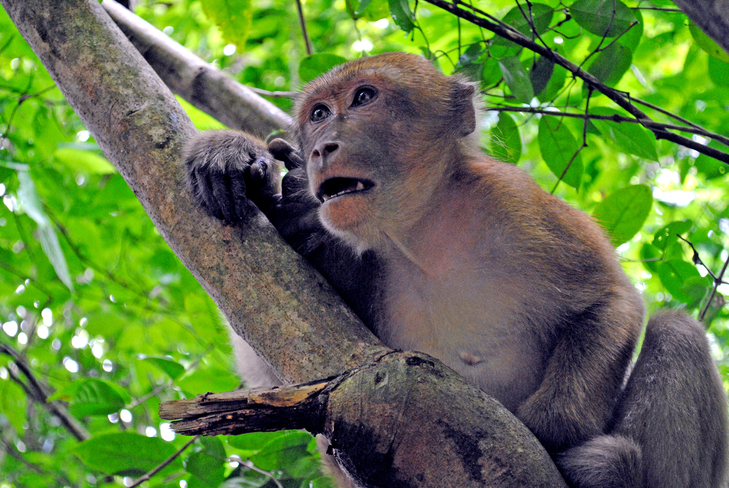 Trekking, Passeggiate Parco Nazionale di Erawan