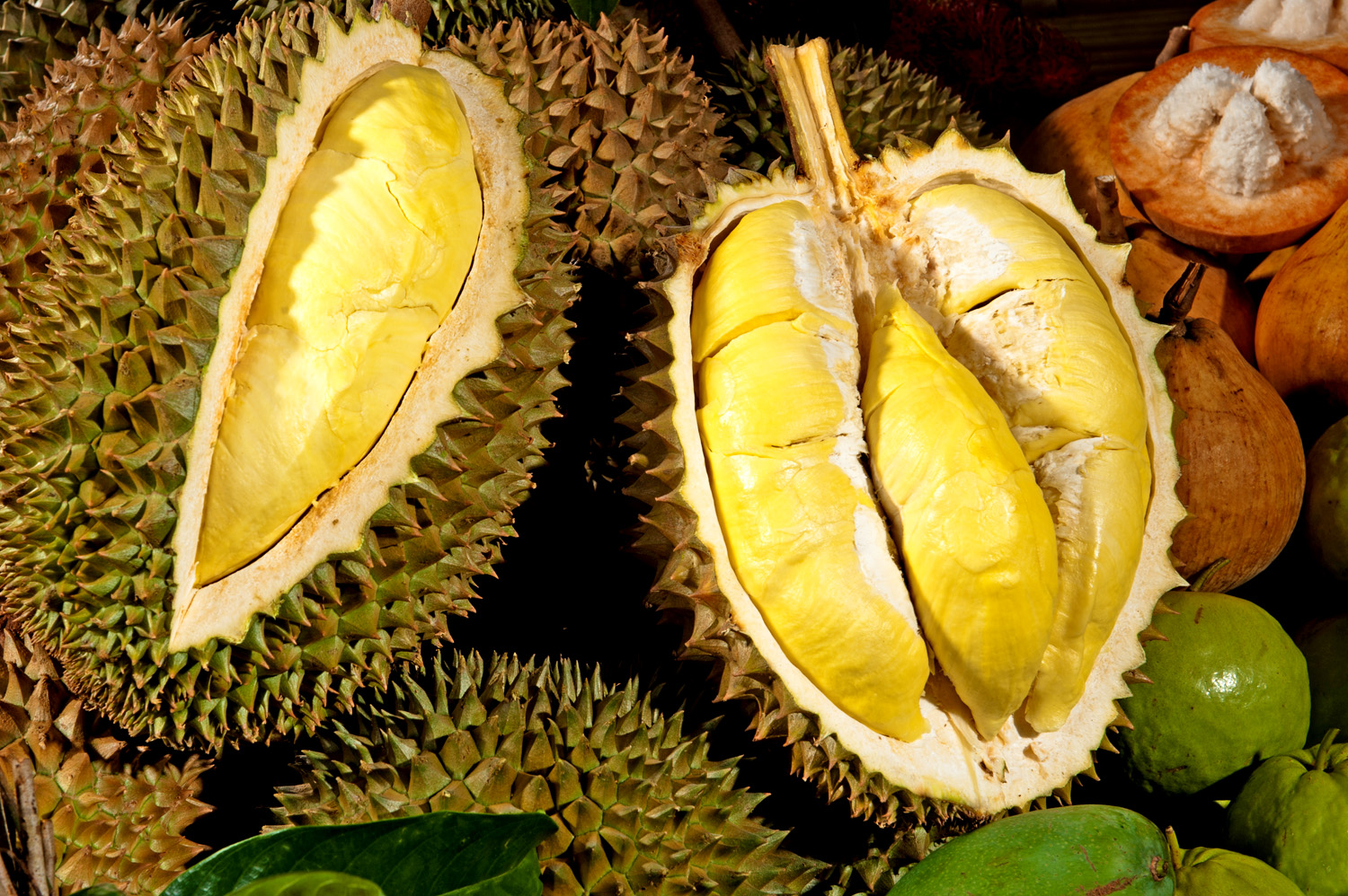 Thailand Fruits, frutta esotica Thailandia: il Durian