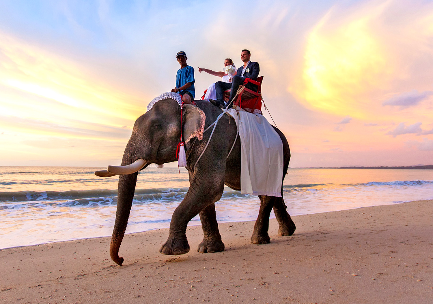 Arrivo alla cerimonia di matrimonio a dorso di Elefante: Puket, Tailandia