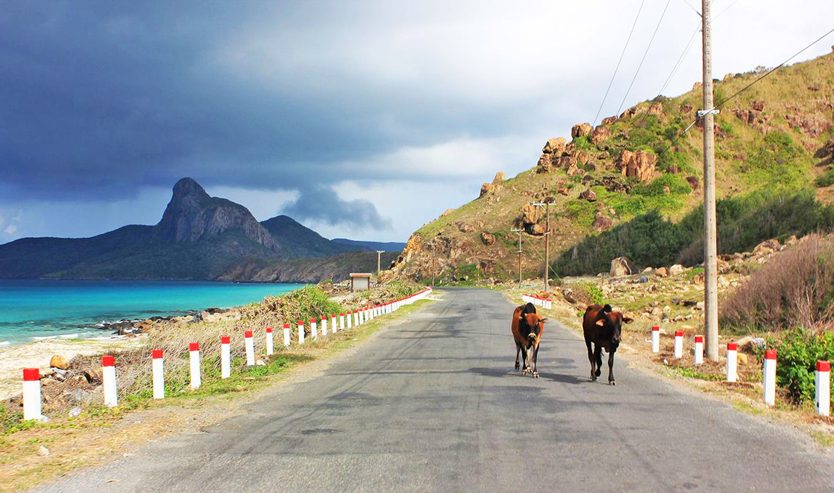 Isola di Con Dao - Vietnam del Sud