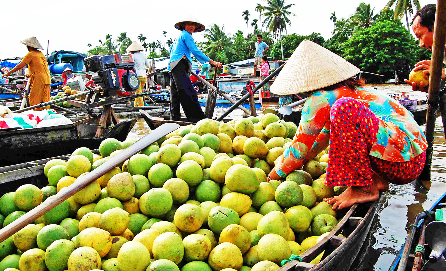 Mekong Delta Vietnam: Cần Thơ