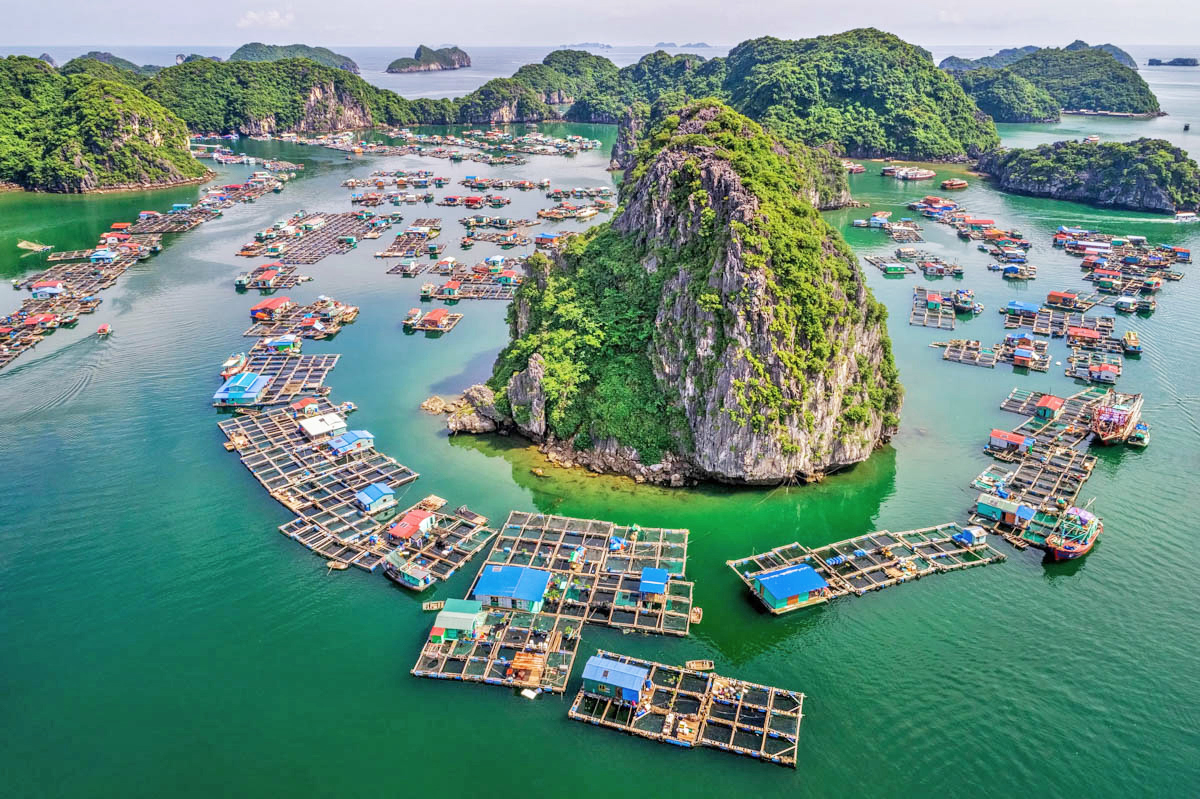 Villaggio dei Pescatori baia Ha Long - cosa fare - cosa visitare